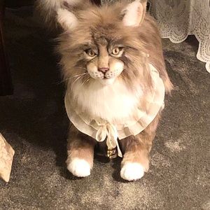 Ooak Maine coon cat